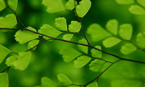 实习律师之路,我的兼职实践与成长故事 实习律师之路,我的兼职实践与成长故事